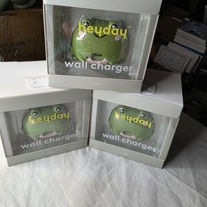 Heyday Frog Wall Charger in Green